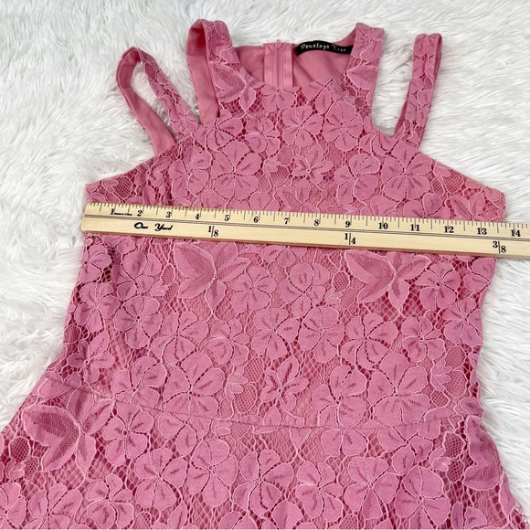 Penelope Tree sleeveless lace fit and flare dress in pink - Picture 3 of 8